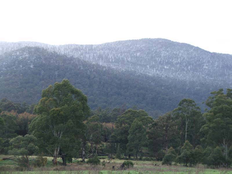 Lonnavale Road, Lonnavale TAS 7109