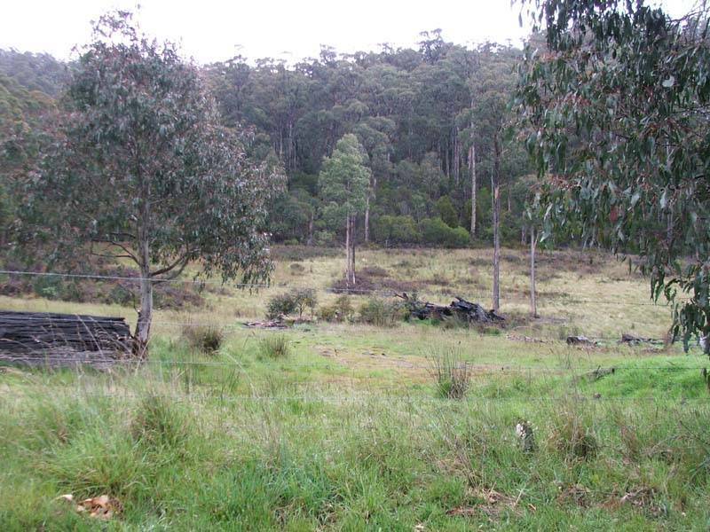 Lonnavale Road, Lonnavale TAS 7109
