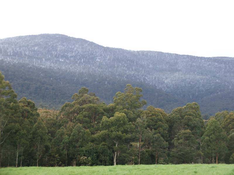 Lonnavale Road, Lonnavale TAS 7109