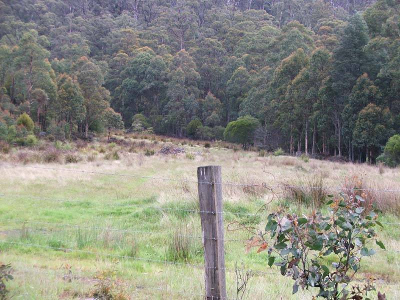 Lonnavale Road, Lonnavale TAS 7109