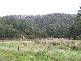Lonnavale Road, Lonnavale TAS 7109