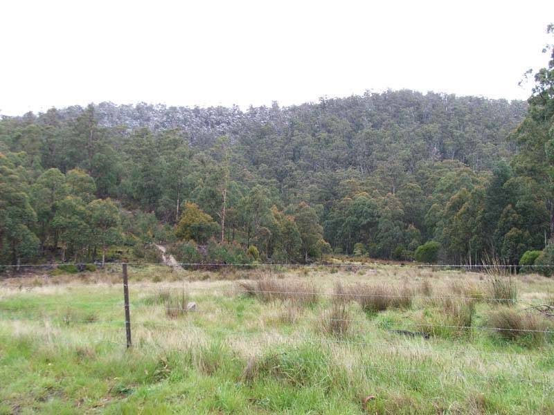Lonnavale Road, Lonnavale TAS 7109