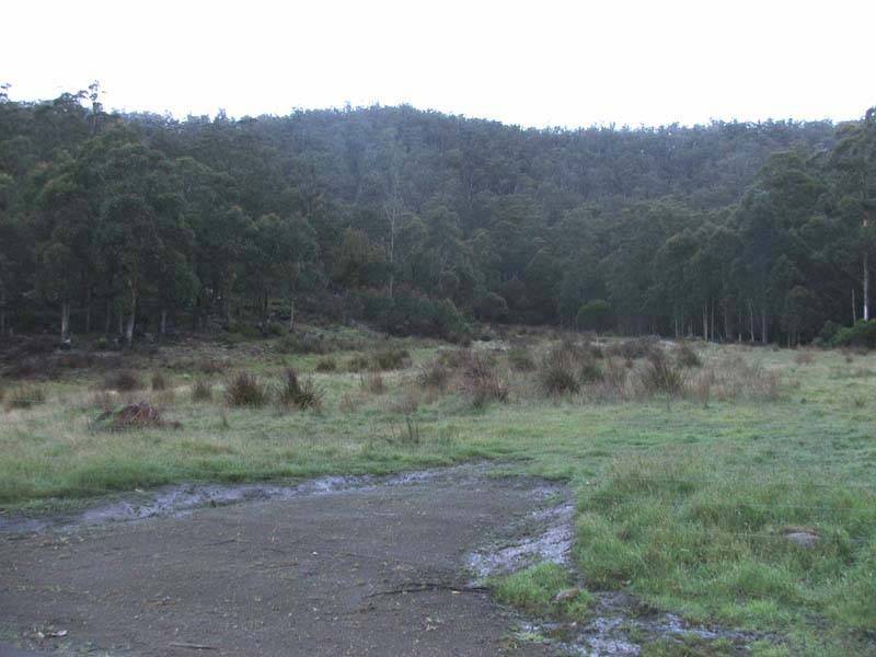 Lonnavale Road, Lonnavale TAS 7109