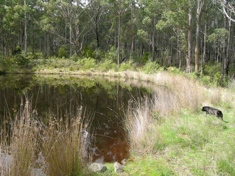 Judds Creek Road, Judbury TAS 7109