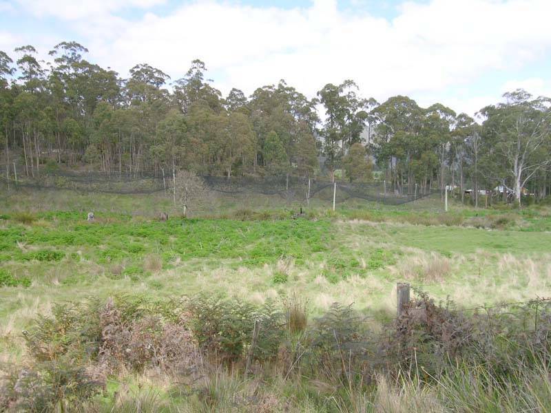 Judds Creek Road, Judbury TAS 7109