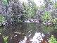 Huon Highway, Strathblane TAS 7109