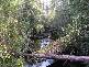 Huon Highway, Strathblane TAS 7109
