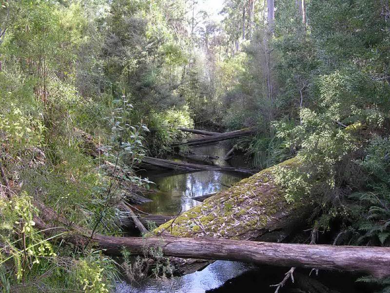 Huon Highway, Strathblane TAS 7109