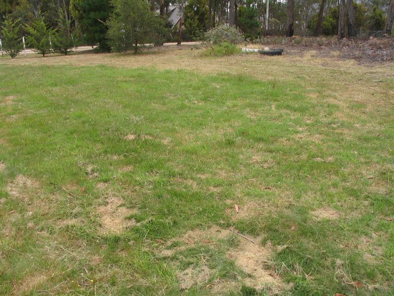 Abels Bay Road, Abels Bay TAS 7112