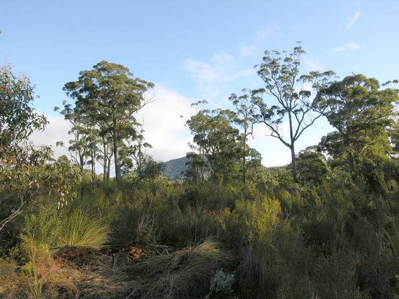 Lune River Road, Lune River TAS 7109