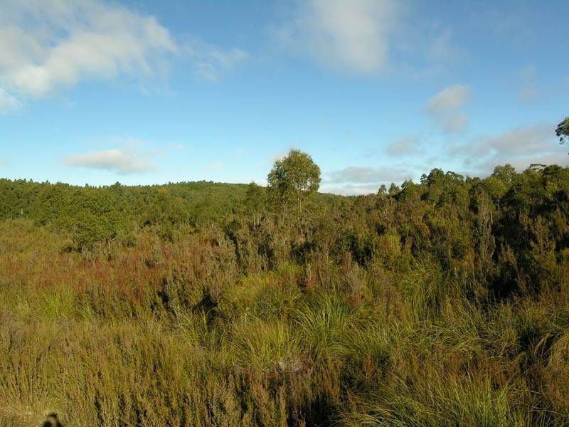 Lune River Road, Lune River TAS 7109