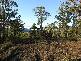 Lune River Road, Lune River TAS 7109