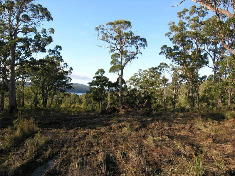 Lune River Road, Lune River TAS 7109