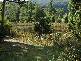 Nicholls Rivulet Road, Nicholls Rivulet TAS 7112