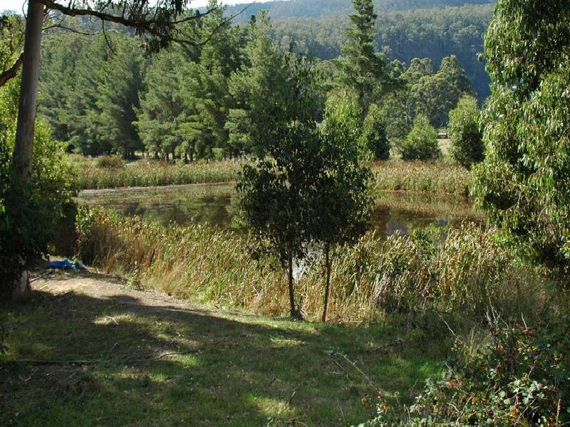Nicholls Rivulet Road, Nicholls Rivulet TAS 7112