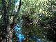 Nicholls Rivulet Road, Nicholls Rivulet TAS 7112