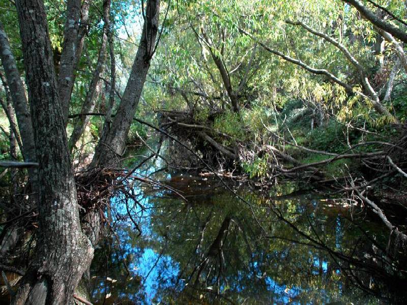 Nicholls Rivulet Road, Nicholls Rivulet TAS 7112