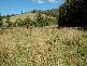 Nicholls Rivulet Road, Nicholls Rivulet TAS 7112