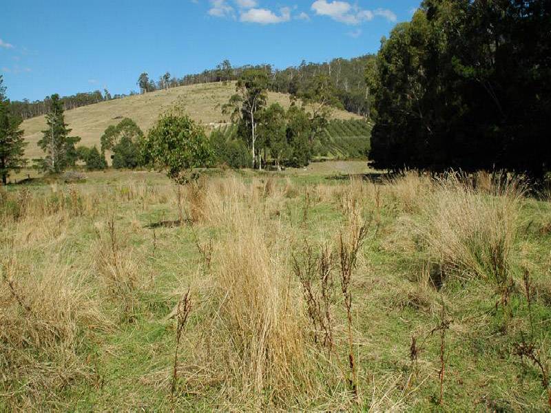 Nicholls Rivulet Road, Nicholls Rivulet TAS 7112