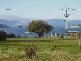 Francistown Road, Dover TAS 7117