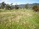 Francistown Road, Dover TAS 7117
