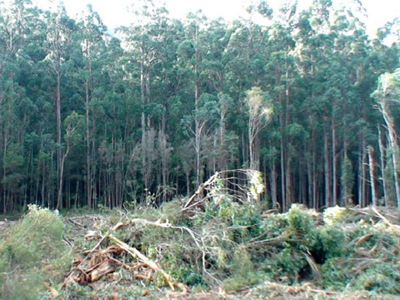 Huon Highway, Southport TAS 7109