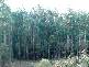 Huon Highway, Southport TAS 7109