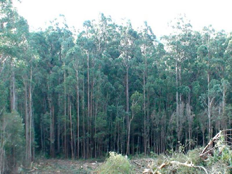 Huon Highway, Southport TAS 7109