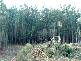 Huon Highway, Southport TAS 7109