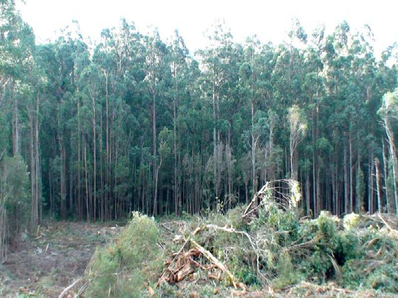 Huon Highway, Southport TAS 7109