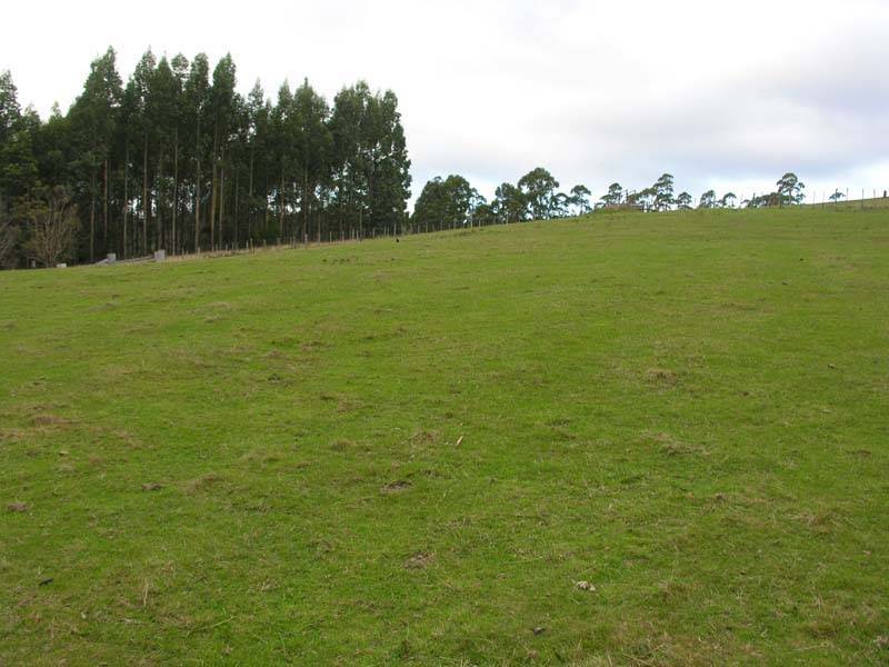 Halls Track Road, Pelverata TAS 7150