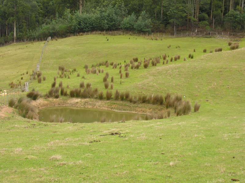 Halls Track Road, Pelverata TAS 7150