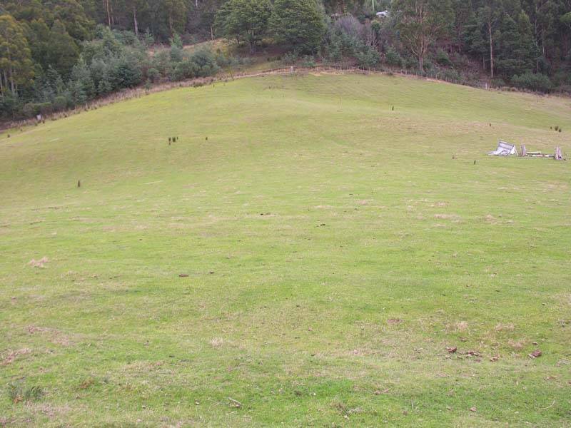 Halls Track Road, Pelverata TAS 7150