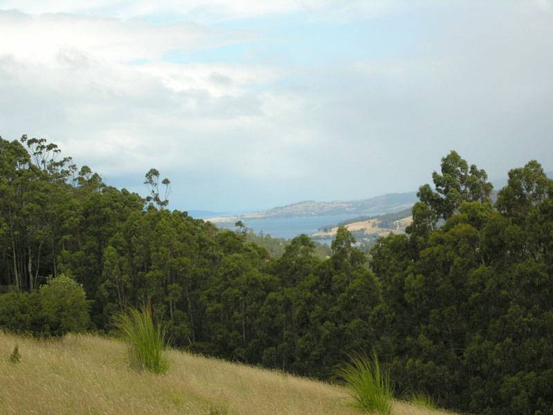 Cradoc Hill, Cradoc TAS 7109