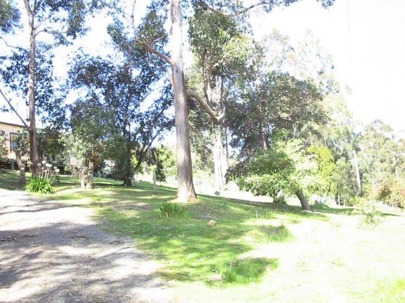 Cygnet Coast Road, Petcheys Bay TAS 7109
