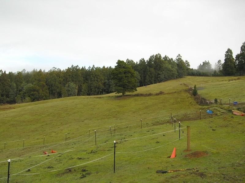 Donnellys Road, Geeveston TAS 7116