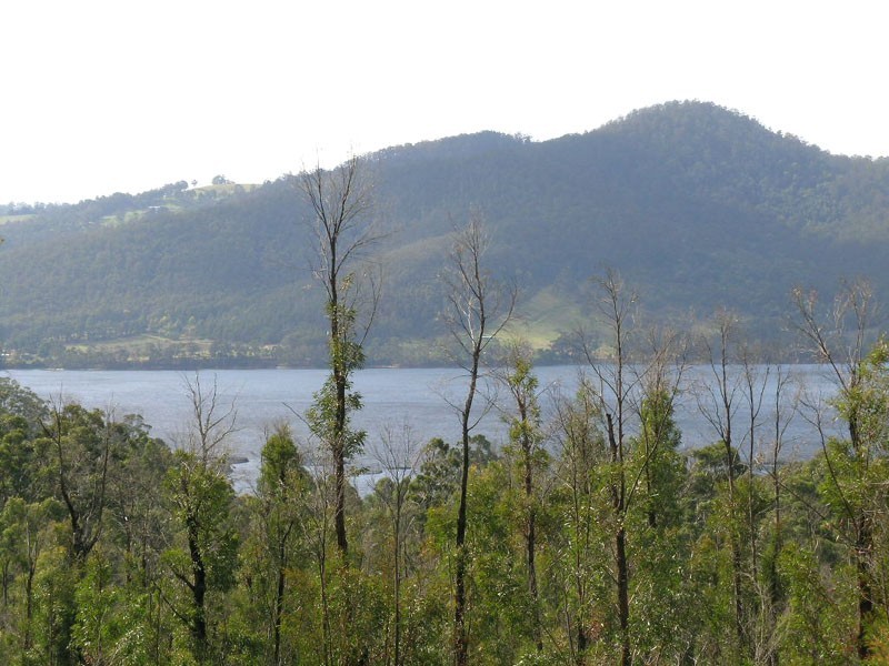 Esperance Coast Rd, Surges Bay TAS 7116