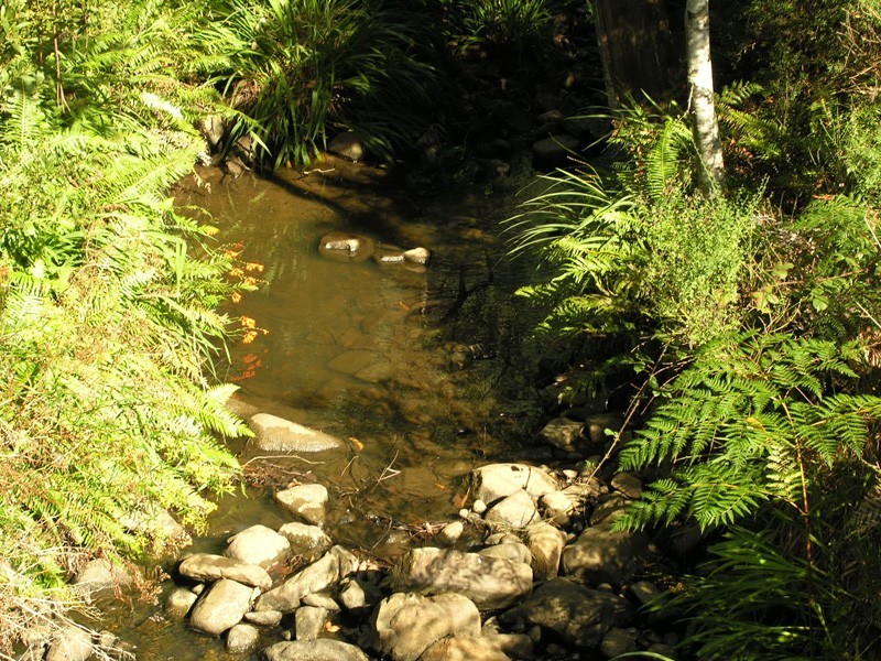 Donnellys Road, Geeveston TAS 7116