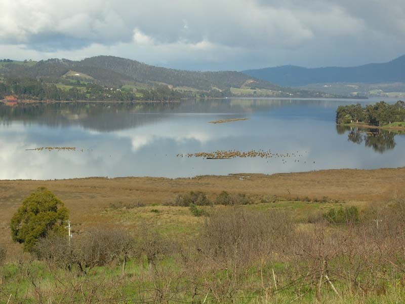 Huon Highway, Franklin TAS 7113