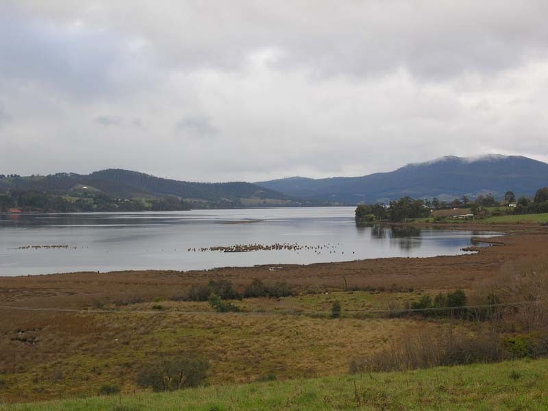 Huon Highway, Franklin TAS 7113