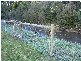 Kermandie River Road, Geeveston TAS 7116