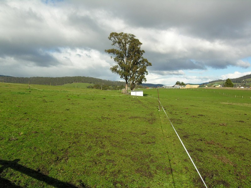 Solly Court, Cygnet TAS 7112