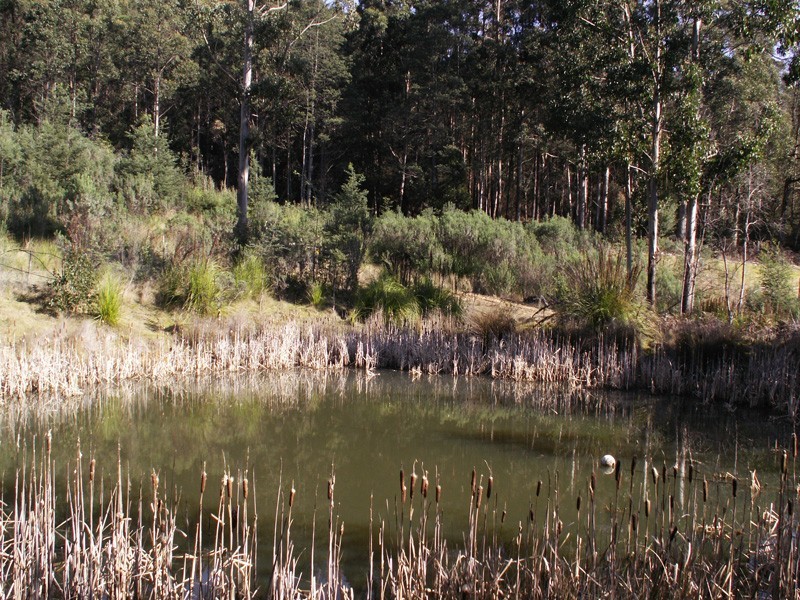 Dulcia Road, Gordon TAS 7150