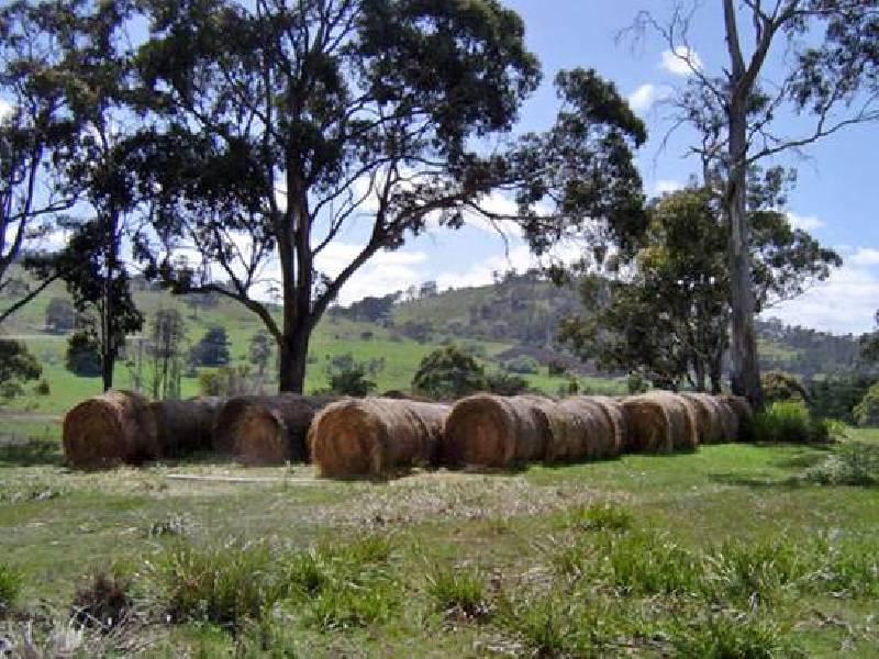 Ellendale Road, Fentonbury TAS 7140