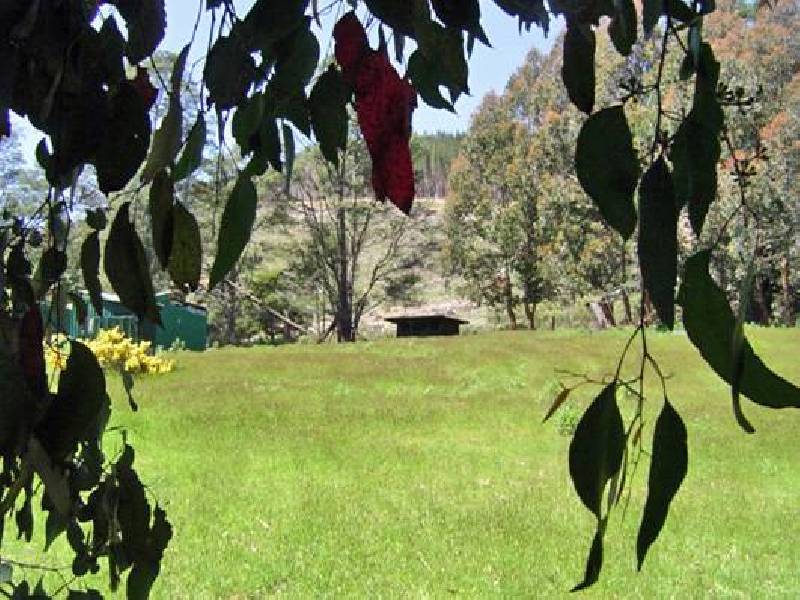 Gordon River Road, Fitzgerald TAS 7140