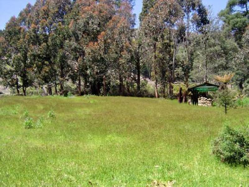 Gordon River Road, Fitzgerald TAS 7140