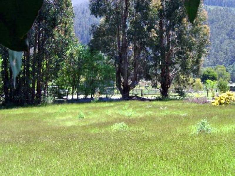 Gordon River Road, Fitzgerald TAS 7140