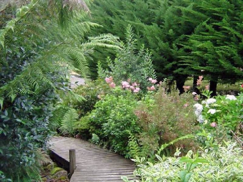 Gordon River Road, Fitzgerald TAS 7140