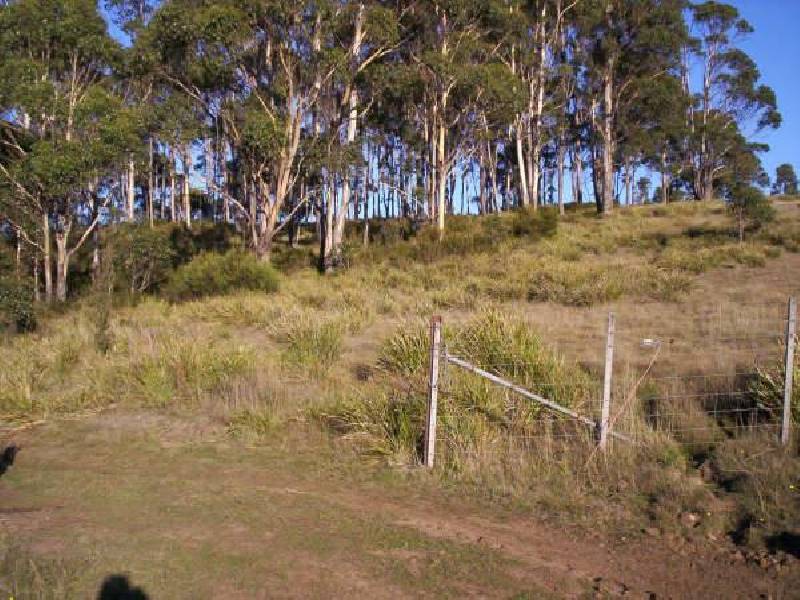 Lyell Highway, Ouse TAS 7140