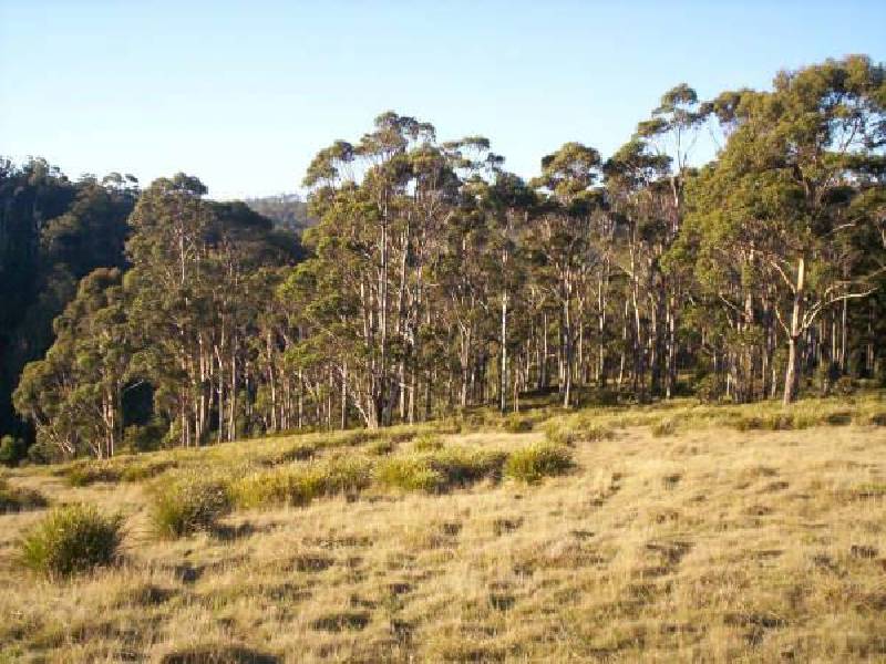 Lyell Highway, Ouse TAS 7140